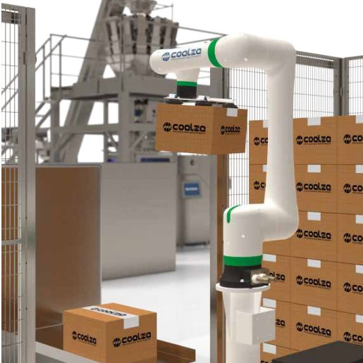 Paletizador Cobot Coalza